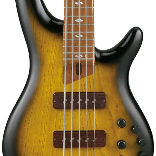 iba sr4505 dst.webp iba sr4505 dst.webp